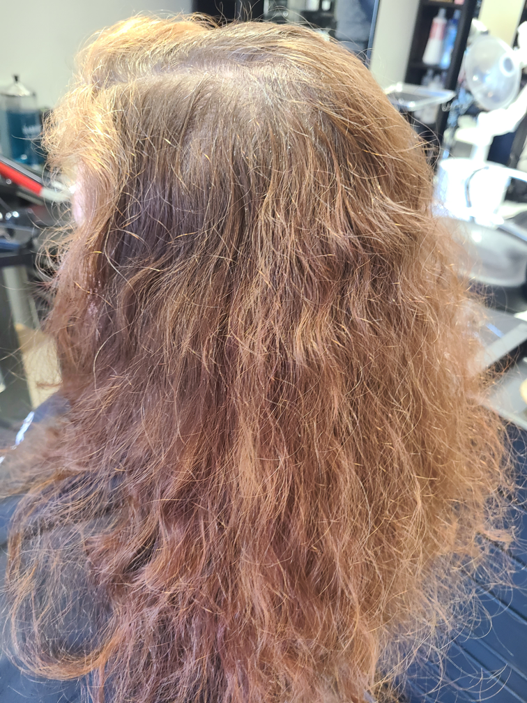 Before Haircut Image 1